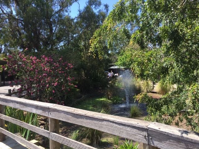 Symbio Wildlife Park - Thursday 15th October, 2020 Image -5f8d03bb3392f